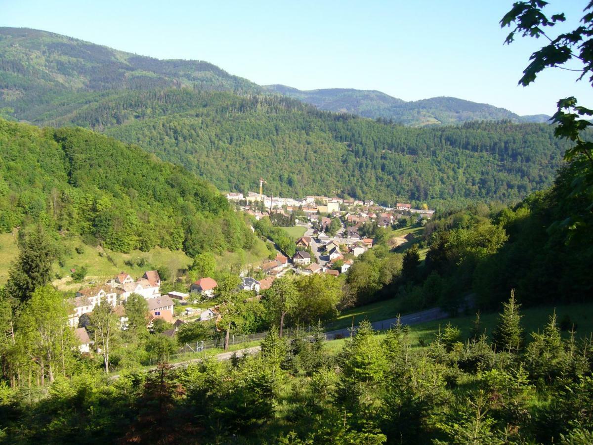Le Tricotin Gite 2-4 Personnes Sainte-Marie-aux-Mines Buitenkant foto